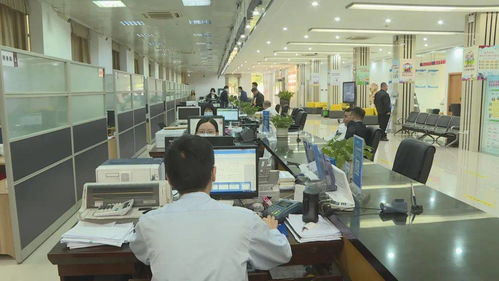 區(qū)便民服務(wù)中心榮獲“廣東省青年文明號(hào)”稱號(hào)，信息系統(tǒng)集成服務(wù)再上新臺(tái)階