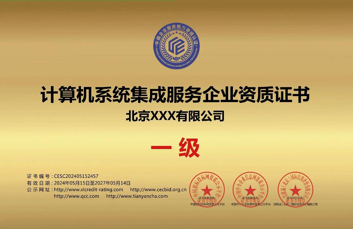 計(jì)算機(jī)系統(tǒng)集成服務(wù)一級(jí)證書(shū) 行業(yè)標(biāo)準(zhǔn)與專(zhuān)業(yè)價(jià)值