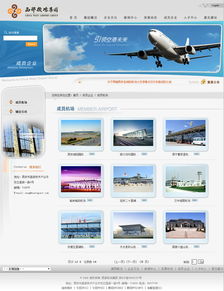 西部機場集團 咨詢 旅游 生活 醫(yī)療 企業(yè)宣傳 案例展示 硅峰網(wǎng)絡(luò) 網(wǎng)站設(shè)計 軟件開發(fā) 微信建設(shè),西安最專業(yè)的企業(yè)信息化建設(shè)網(wǎng)絡(luò)公司
