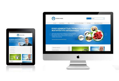 廣州網(wǎng)絡(luò)公司 網(wǎng)站改版與網(wǎng)頁(yè)設(shè)計(jì)開(kāi)發(fā)服務(wù)詳解